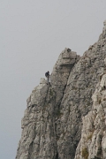 20 Alpinisti